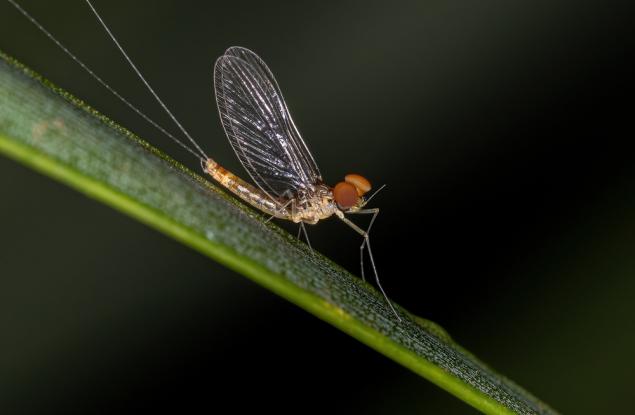 Живот за един ден