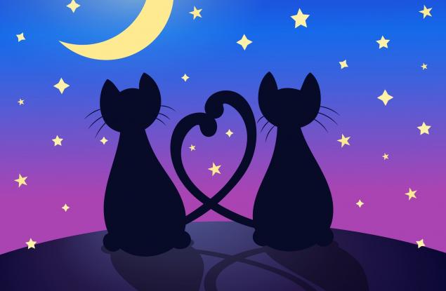 20 начина да кажете „Обичам те“