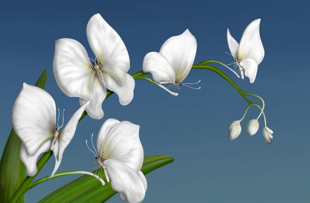 Първото нещо, което видите, разкрива вашия характер