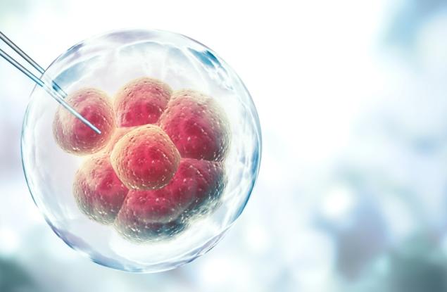 Създадоха човешка яйцеклетка от кожни клетки – пробив с потенциал за лечение на безплодие