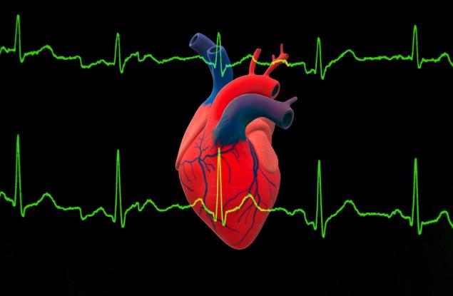 Огромно проучване свързва 99% от сърдечните пристъпи и инсулти с четири рискови фактора