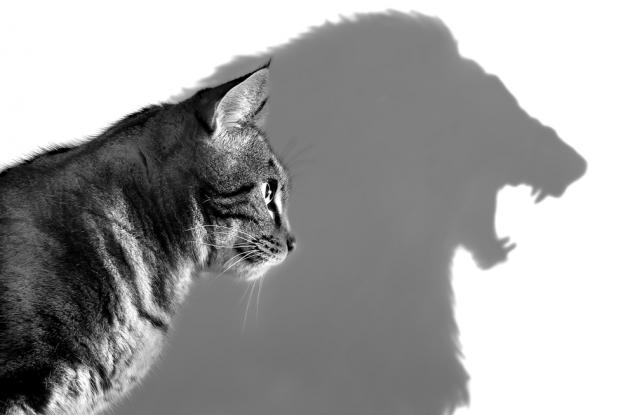 11 начина да подобрим самочувствието си