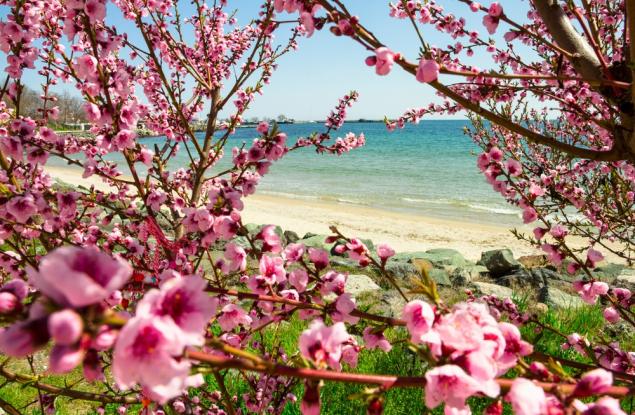 Месец април 2022 г. – шести най-топъл в инструменталната историята