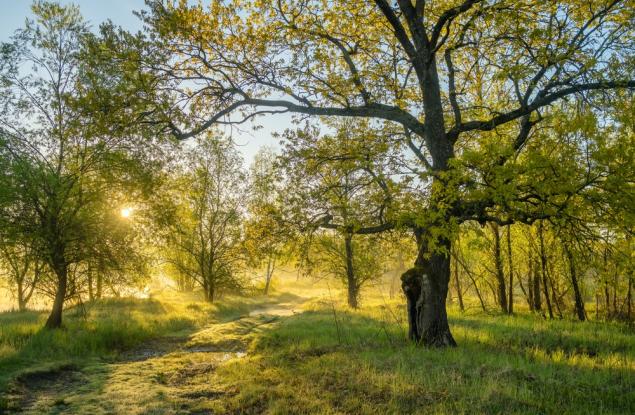 Април е вторият най-топъл в света – още един месец над допустимите 1,5°C