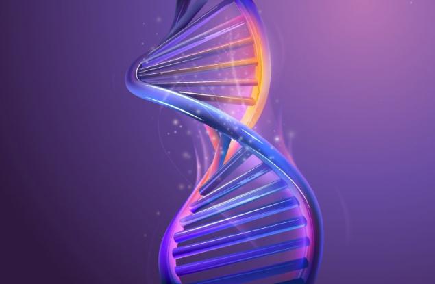 Учени секвенираха последната част от човешкия геном – хромозомата Y