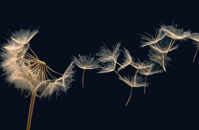 Цял живот човек тича