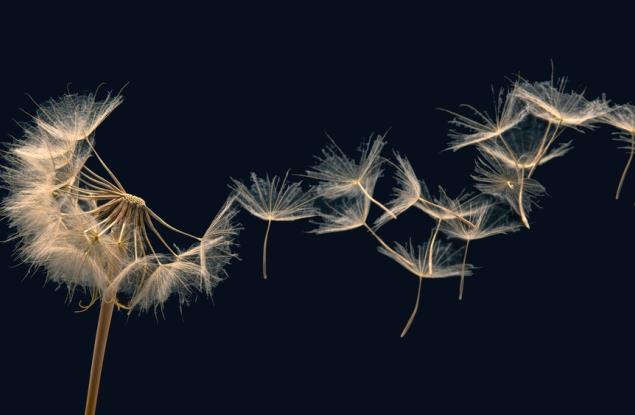 Не си губете времето