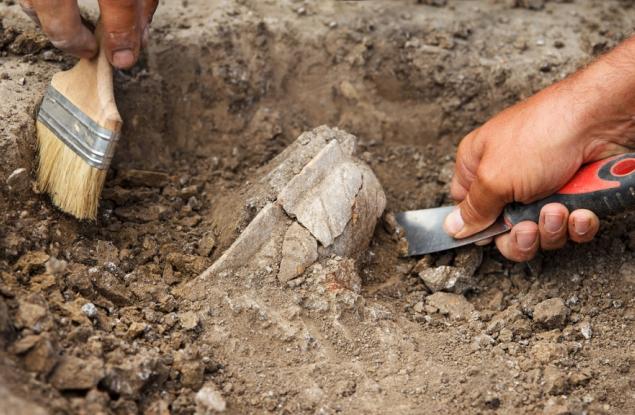 Череп на 1 милион години, открит в Китай, може да промени историята на Homo sapiens