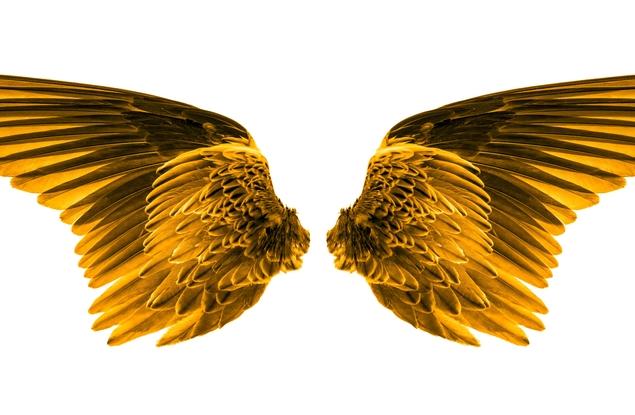 В Рая думите непременно се превръщат в ноти