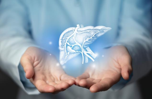 Откриха нови възпалителни механизми при чернодробни заболявания и рак на черния дроб