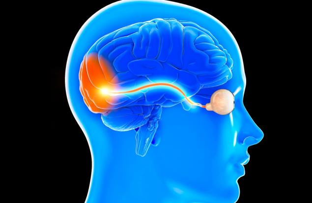 Зрителният нерв влиза в критериите за диагноза на множествена склероза