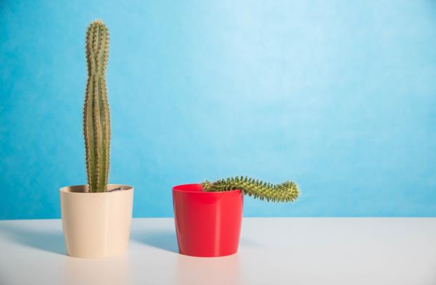 Как да изстреляме ерекцията в космоса с тези домашни средства