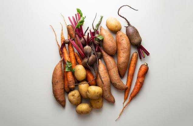 6 невероятни факта за растенията