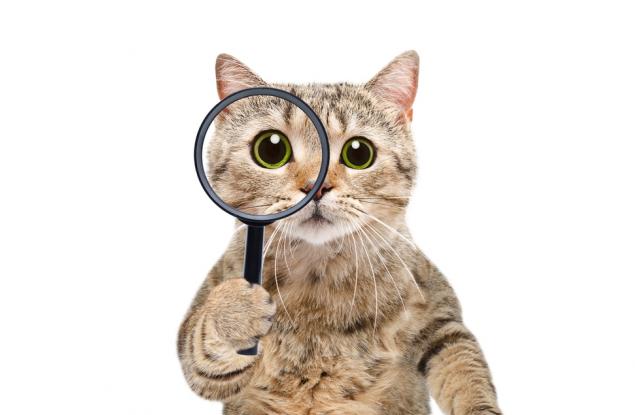 Мъдростта се придобива не от четене на книги, а на хора.