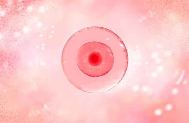 Китайски учени патентоват нов метод за замразяване на яйцеклетки