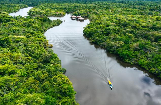 Археолози откриха редки каменни глави и уникален фриз в перуанската Амазонка