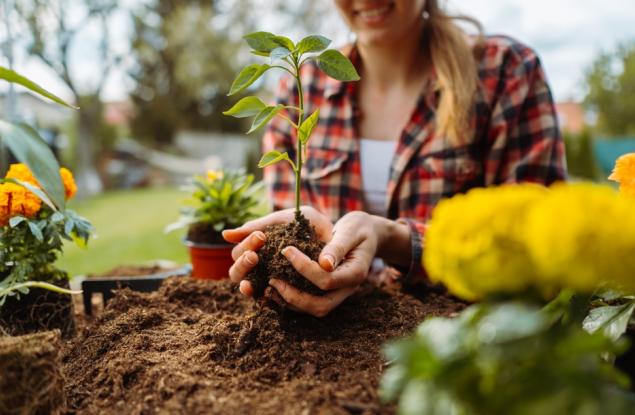 Земя, бензин, кожа: защо харесваме странни миризми