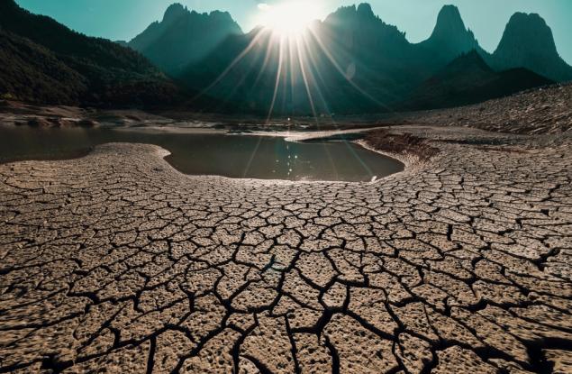 Опустиняването: Какво представлява и какви са рисковете за света?