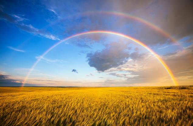 Виц: Три рядко срещани явления