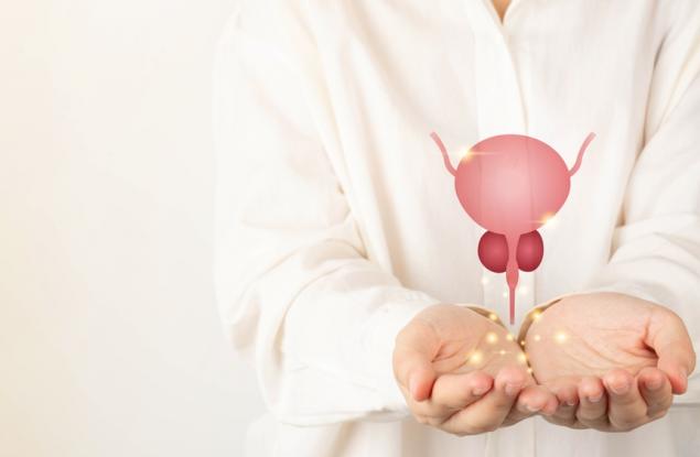 Месната молекула карнозина е обещаваща като първа линия на лечение при рак на простатата