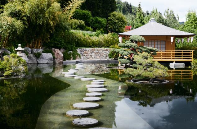 Шинрин-йоку – горски бани за повече тонус: японският начин за релаксация