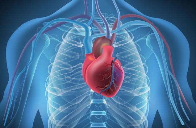 Сърдечният арест може да бъде съпроводен с предварителни симптоми