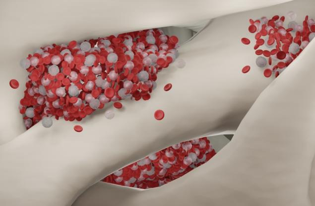 Австралийски учени създадоха първата молекулярна карта на костния мозък