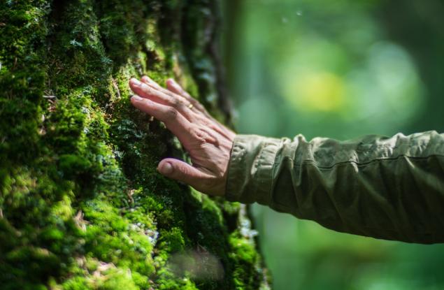 Британски учени откриха десетки непознати за науката видове растения и гъби 