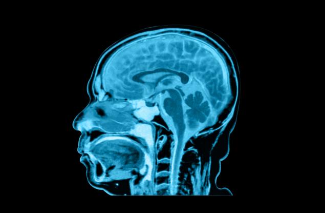 По-младите поколения имат по-голям мозък. Това по-здравословно ли е?