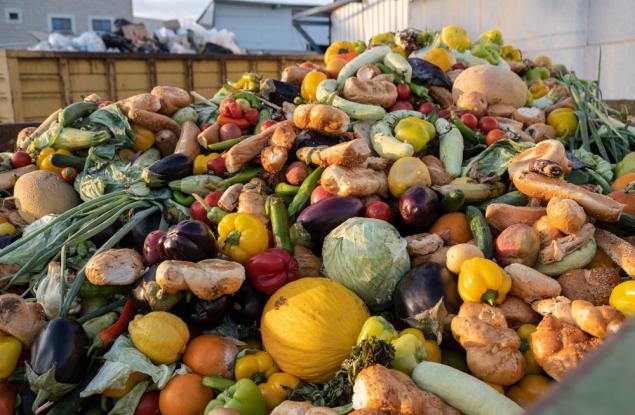 Цената на изхвърлената храна (подкаст)