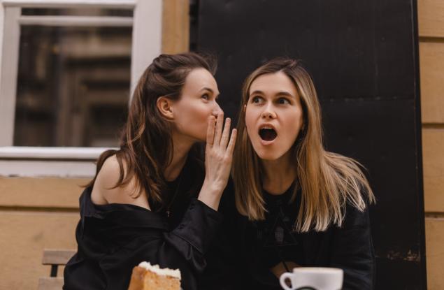 Виц: Изложба на отровни змии