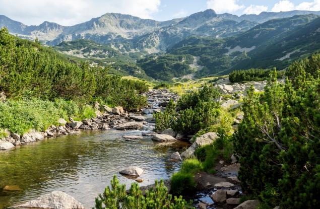 Трите кризи или защо са важни връзките между изменението на климата, загубата на биоразнообразие и замърсяването?