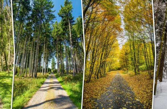 Променят ли се сезоните по света и в България?