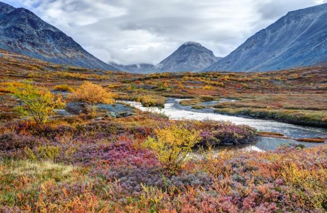 Арктика и тайгата се затоплят по-бързо от всеки друг регион на Земята