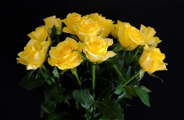 Цветята, които никога не трябва да подарявате на близките си