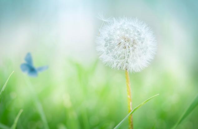 Отвъд видимото е красотата