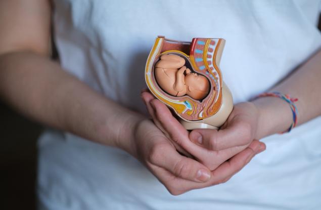 В утробата на мама: 40 седмици самота