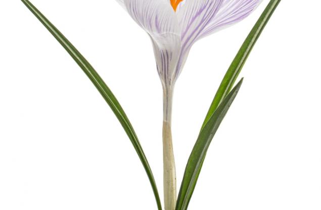 Това, за което се грижим, расте