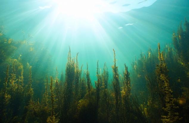 Как ранните цикли на Земята са формирали химията на живота