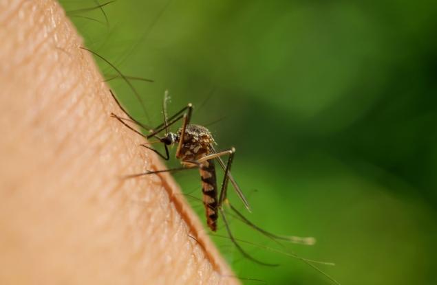 Изследователи оповестиха две нови лечения за малария на фона на нарастващата резистентност към лекарства