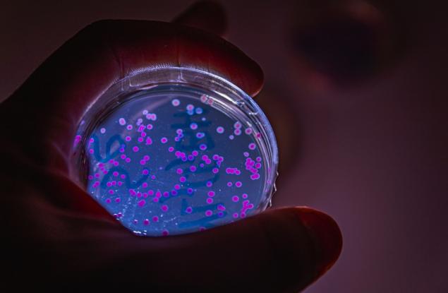 Бактериите съхраняват спомени и ги предават на поколенията