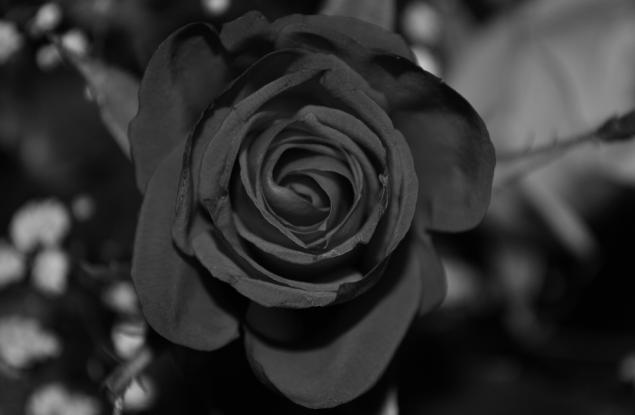 Смъртта на Здравия разум