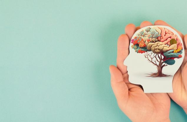 Високо чувствителните хора и техният чудесен мозък