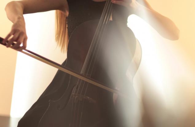 Виц: Интелигентно софийско семейство