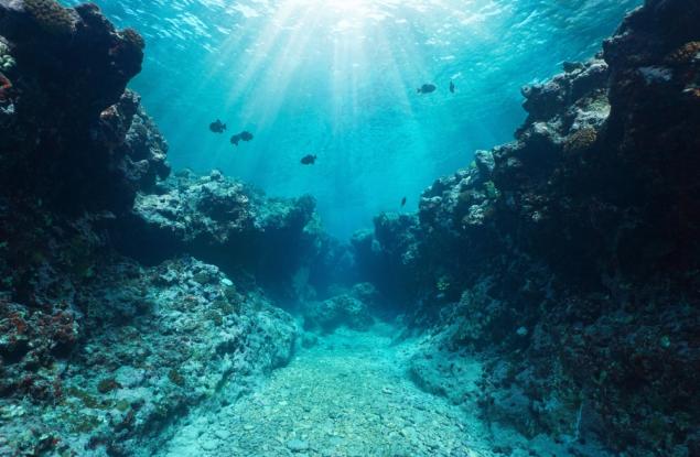 Индустриалното замърсяване с промишлени газове застрашава екосистемите край Хаваите