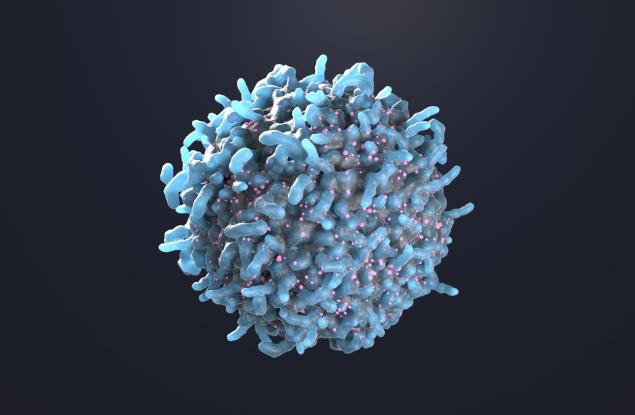 Имунните клетки правят нещо неочаквано, за да спрат разпространението на този мозъчен паразит