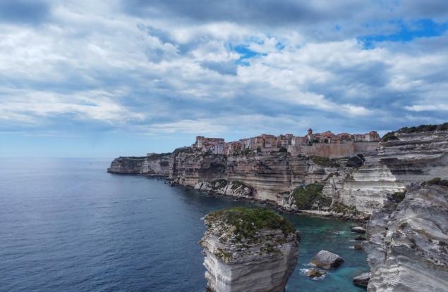 Учени откриха нови видове насекоми в Корсика