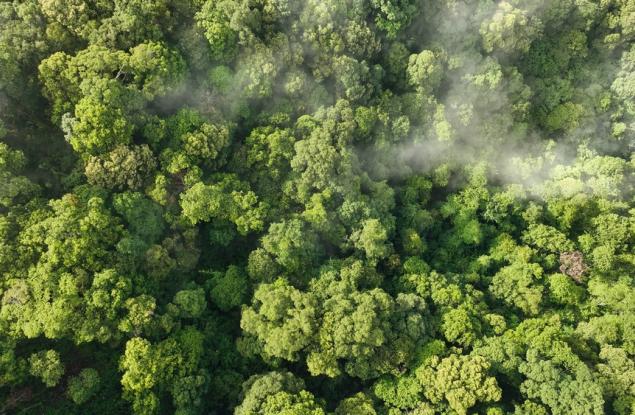 Създадоха система за превръщане на отпадъчен въглероден диоксид в полезни химикали