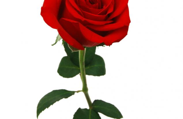 Китайска мъдрост за красотата в детайлите