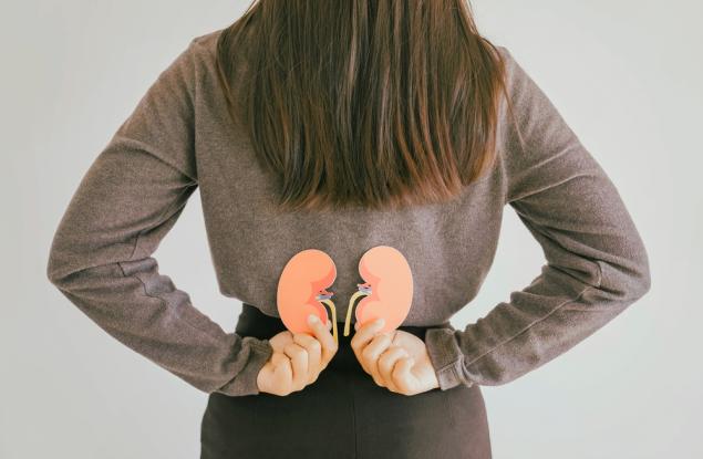 Генетично модифицираните чревни бактерии показват обещаващи резултати в борбата с камъните в бъбреците 